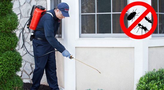 Çilimli Akrep İlaçlama böcek ilaçlama ve haşere kontrolü — ilaclama-tr.com